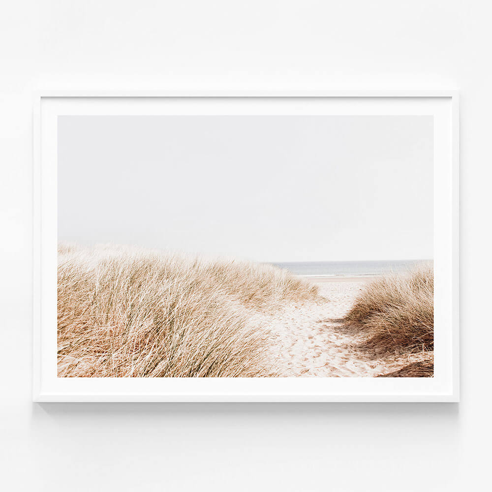Beach Grass