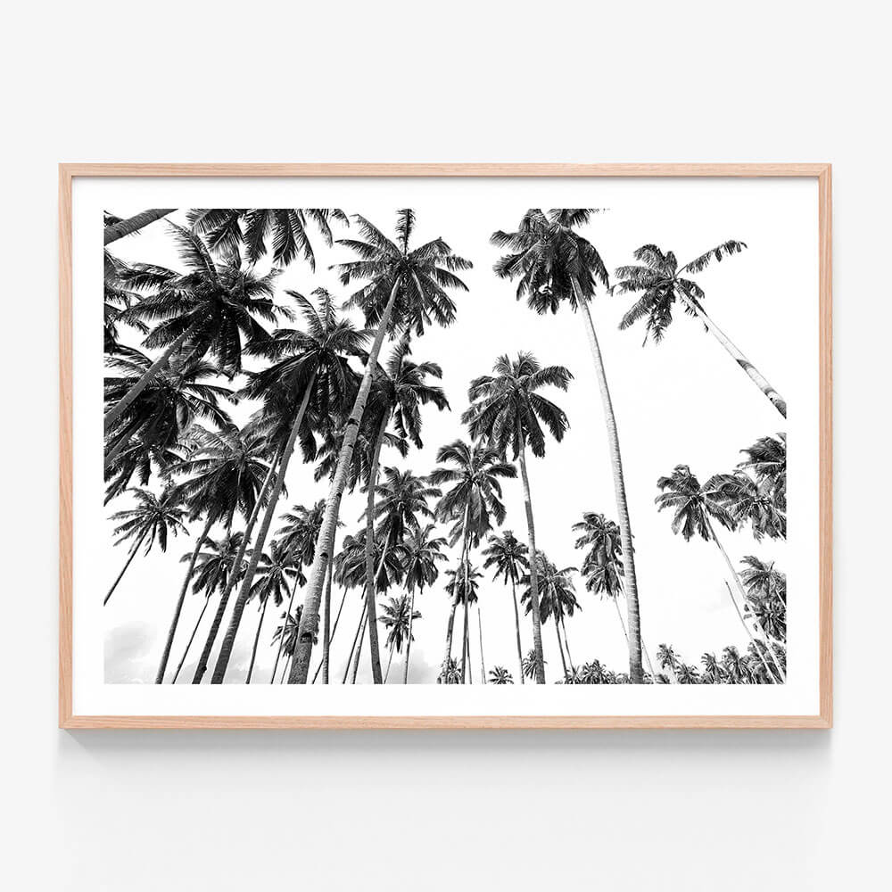 A framed print featuring a black and white photo print of palm trees in a tropical beach.