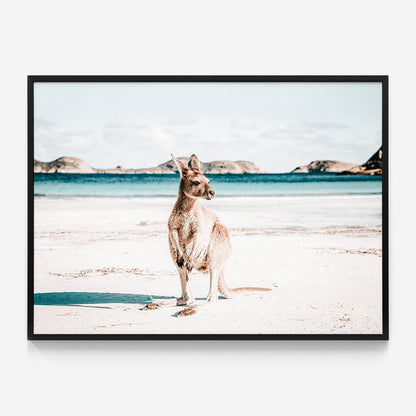 Beach Paws
