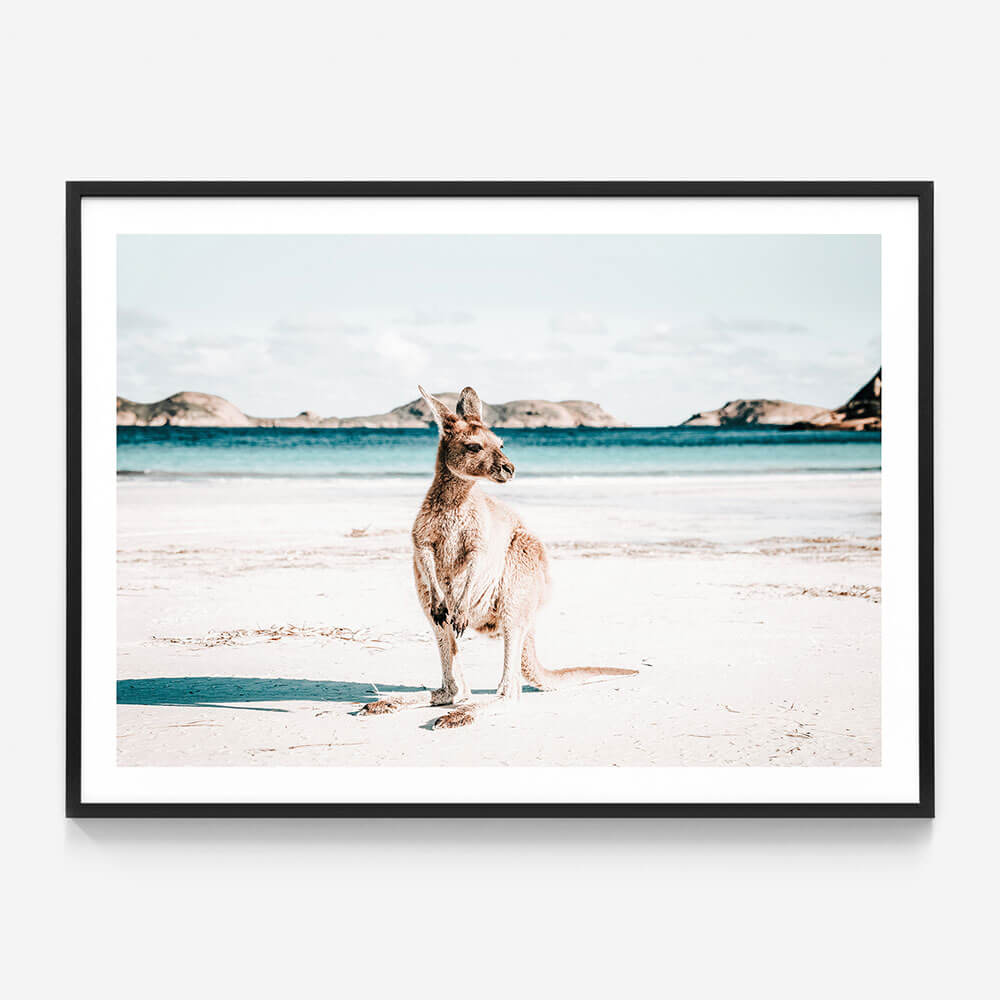 Beach Paws