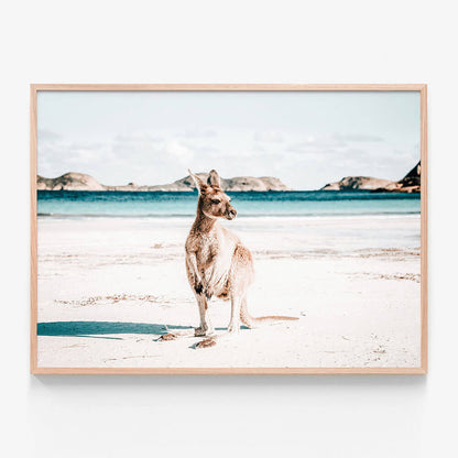 Beach Paws