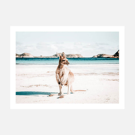 A poster art print of a kangaroo standing on a beach with the ocean and a island in the background.