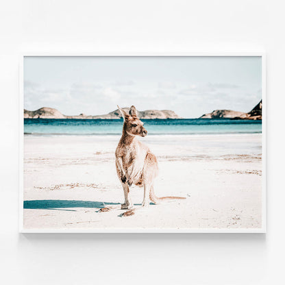 Beach Paws