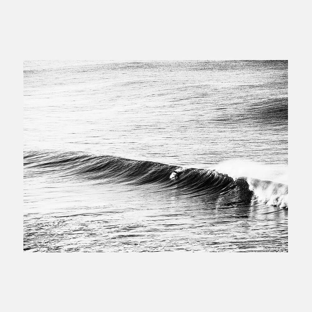 Bells Drop B&W
