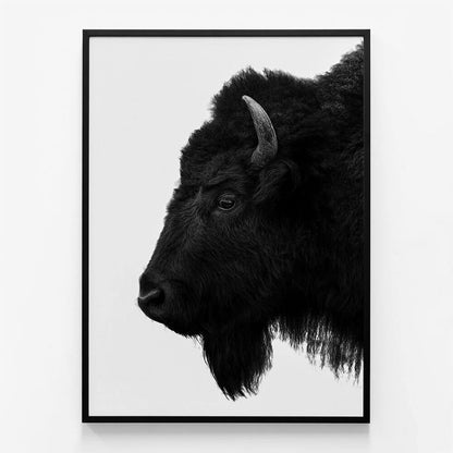 Black Bison