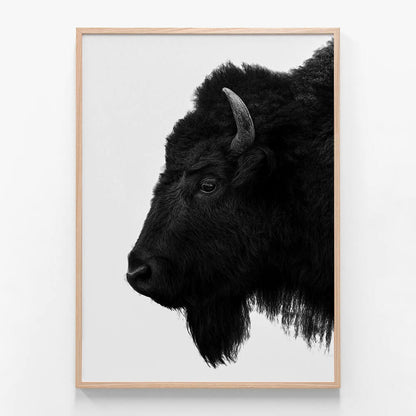 Black Bison