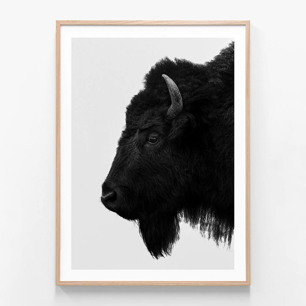 A black and white framed print of a bison's head in profile against a white background.