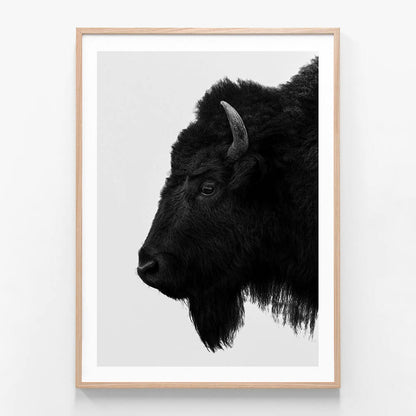 A black and white framed print of a bison's head in profile against a white background.