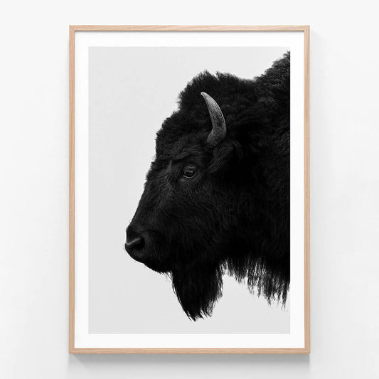 A black and white framed print of a bison's head in profile against a white background.