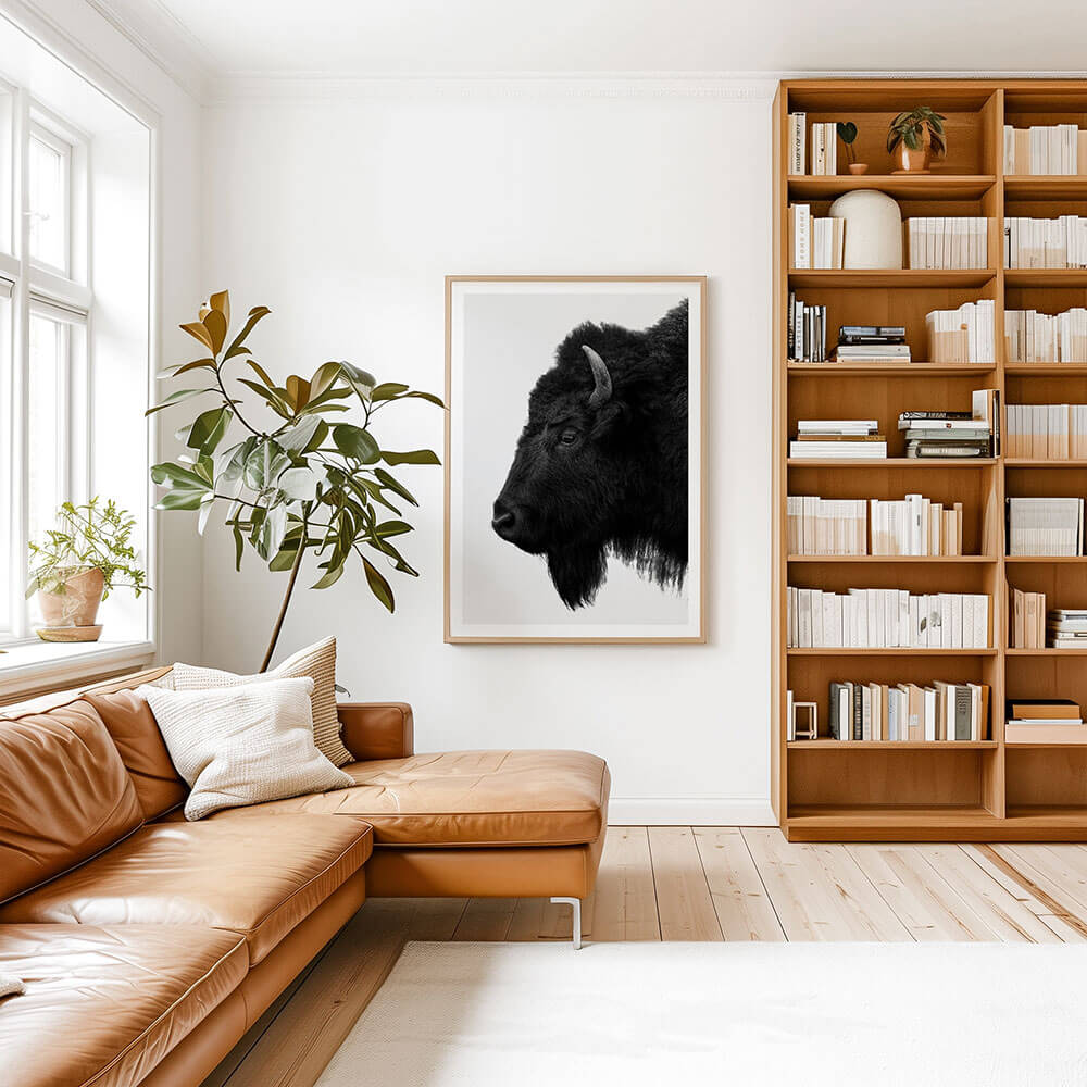 Black-Bison-Photographic-Framed-Print.jpg