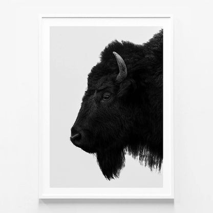 Black Bison