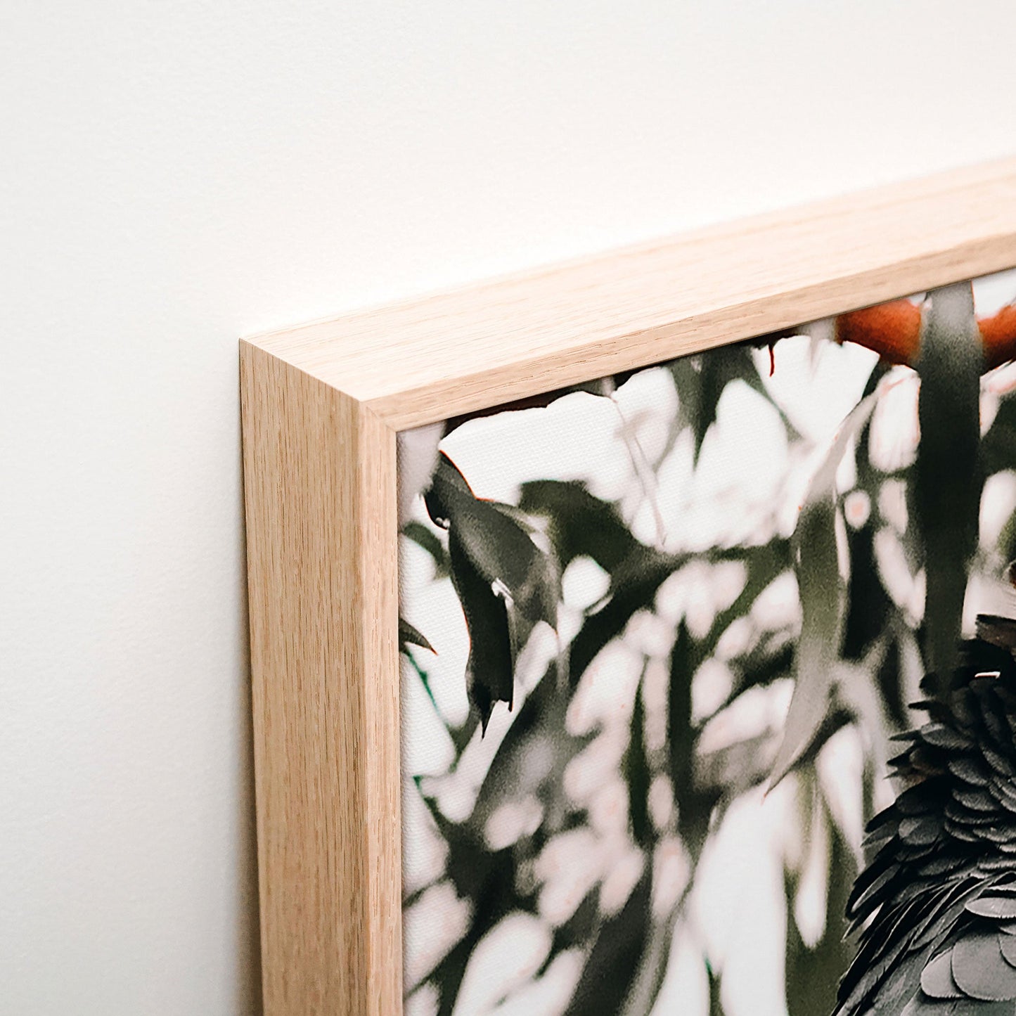 Black Cockatoo Canvas corner detail