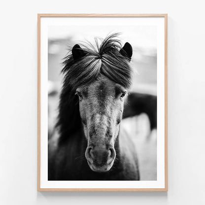 A black and white photo framed print of a horse with a mane in a portrait orientation.