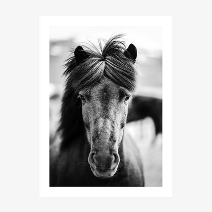 A black and white photo poster print of a horse with a mane in a portrait orientation.