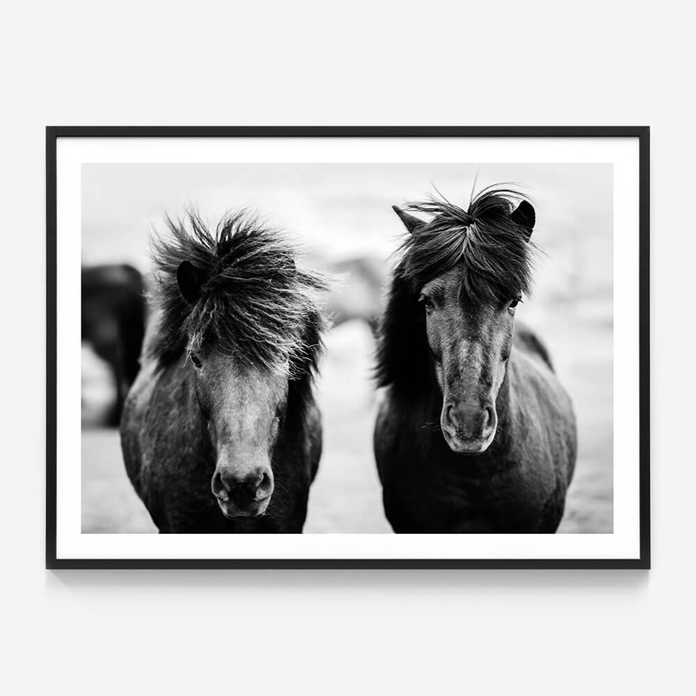 Black Horses