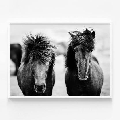 Black Horses