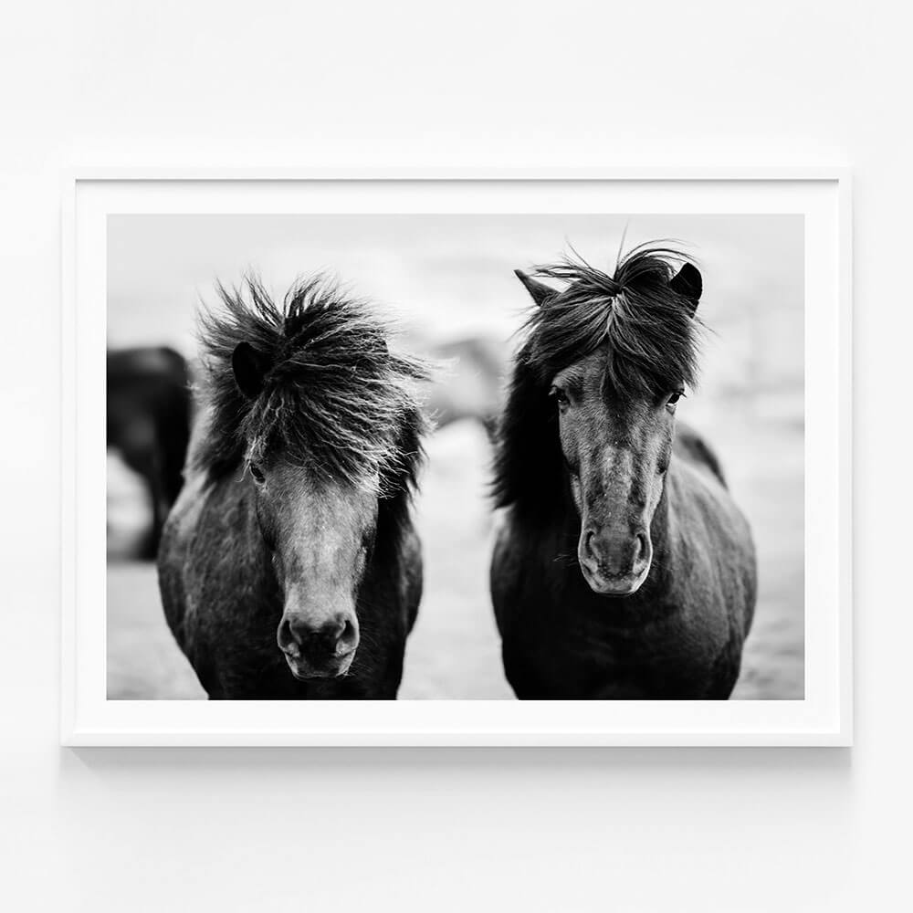 Black Horses