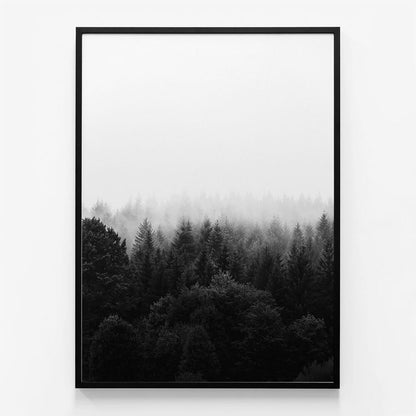 Black & White Forest