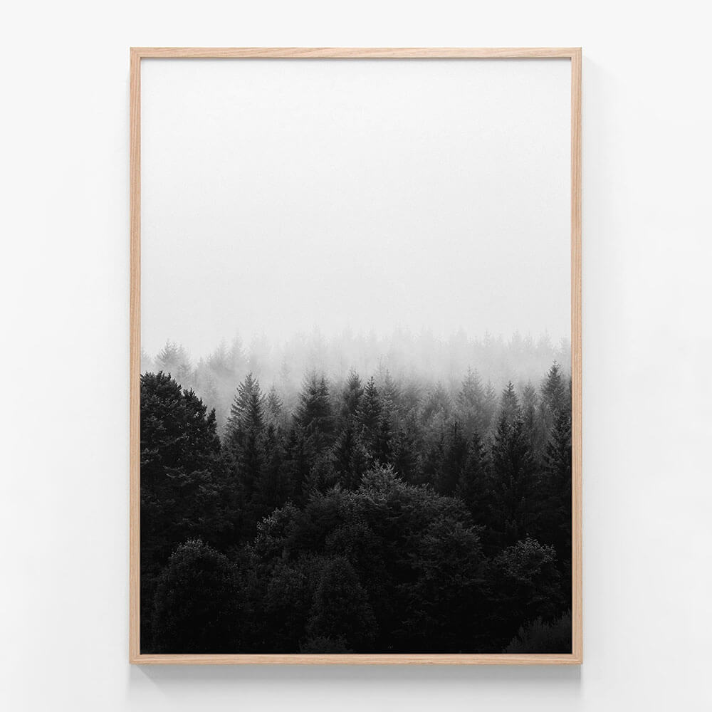 Black & White Forest