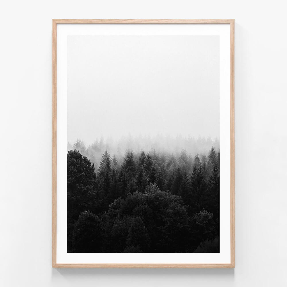 Black & White Forest