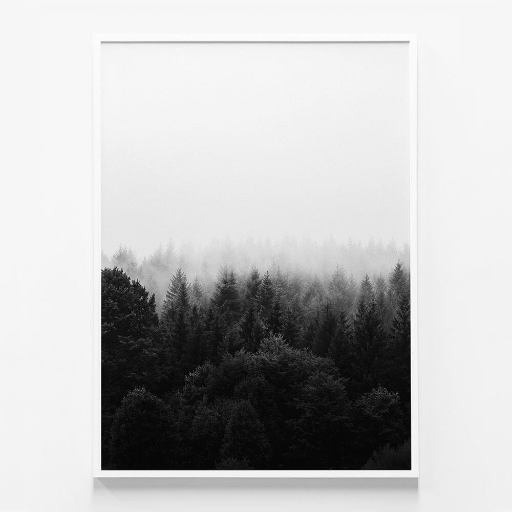 Black & White Forest