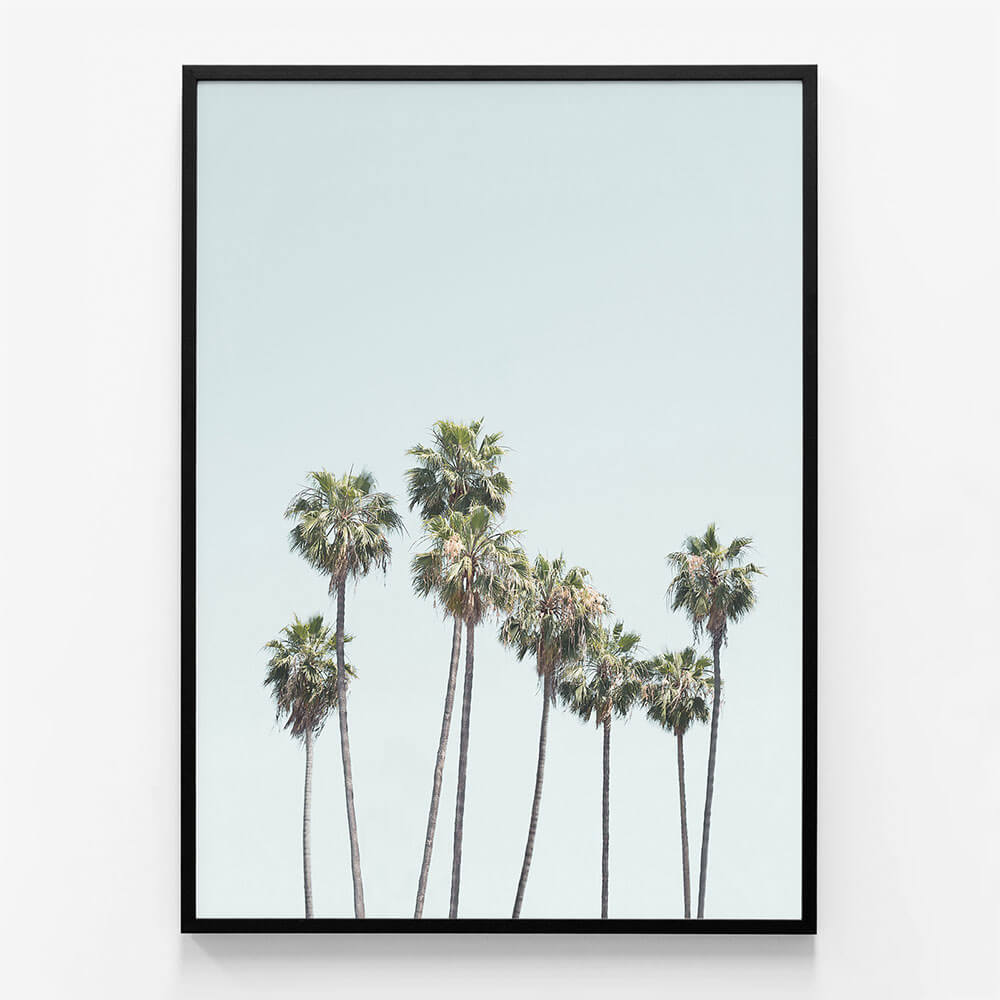 Blue Palm Trees