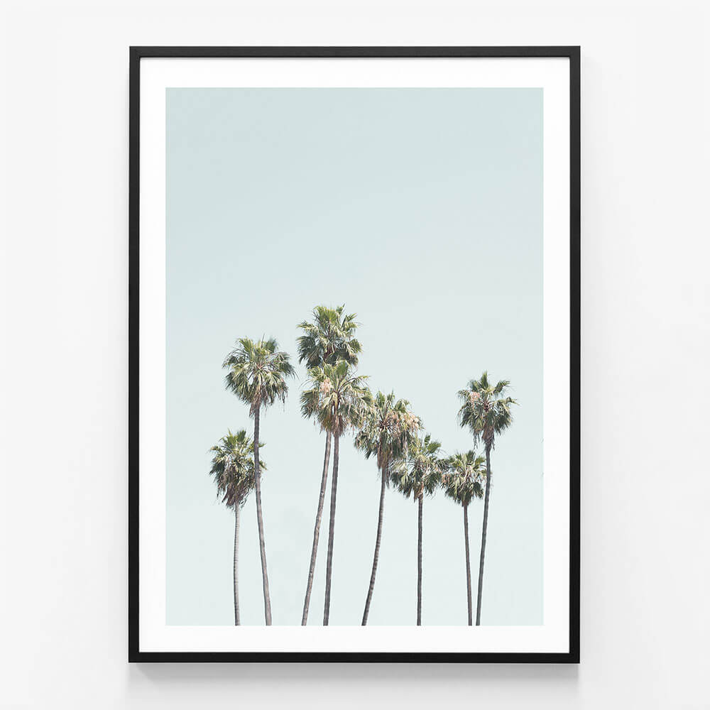 Blue Palm Trees