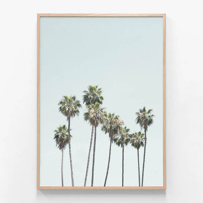 Blue Palm Trees