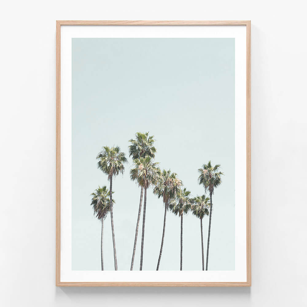 Blue Palm Trees