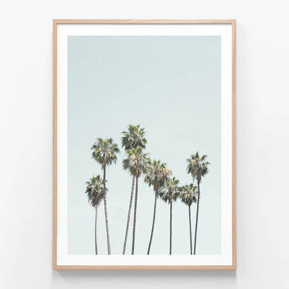 Blue Palm Trees