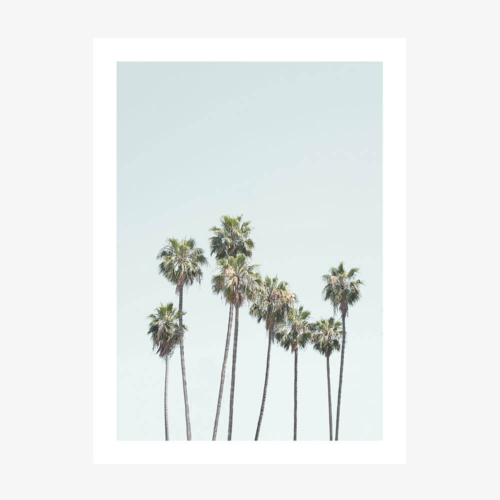 Blue Palm Trees