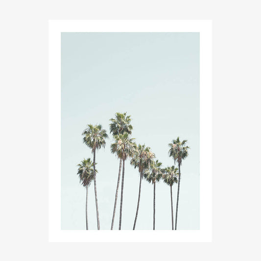 Blue Palm Trees