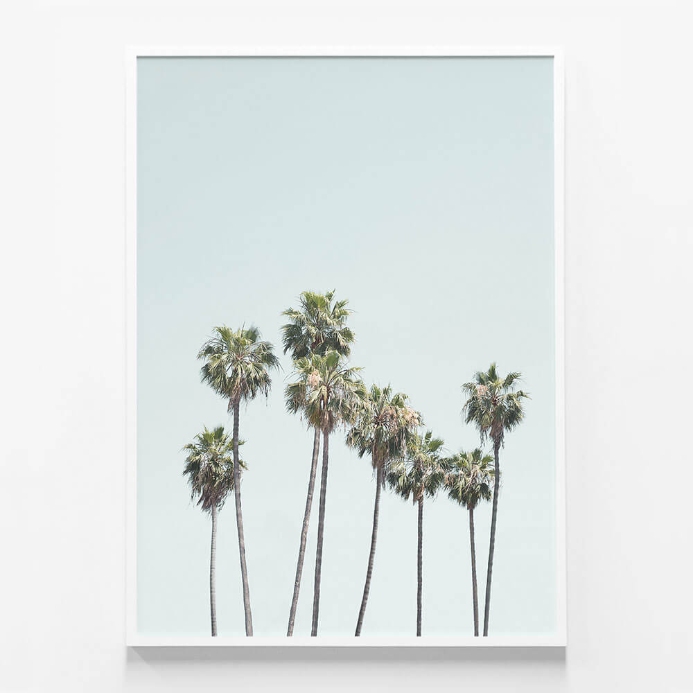 Blue Palm Trees