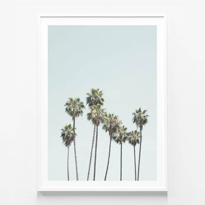Blue Palm Trees