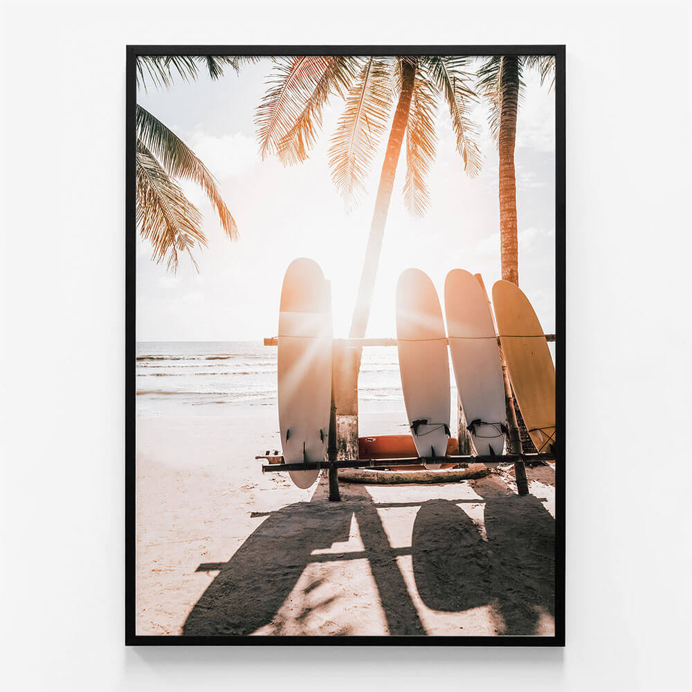 Boards in the Sun