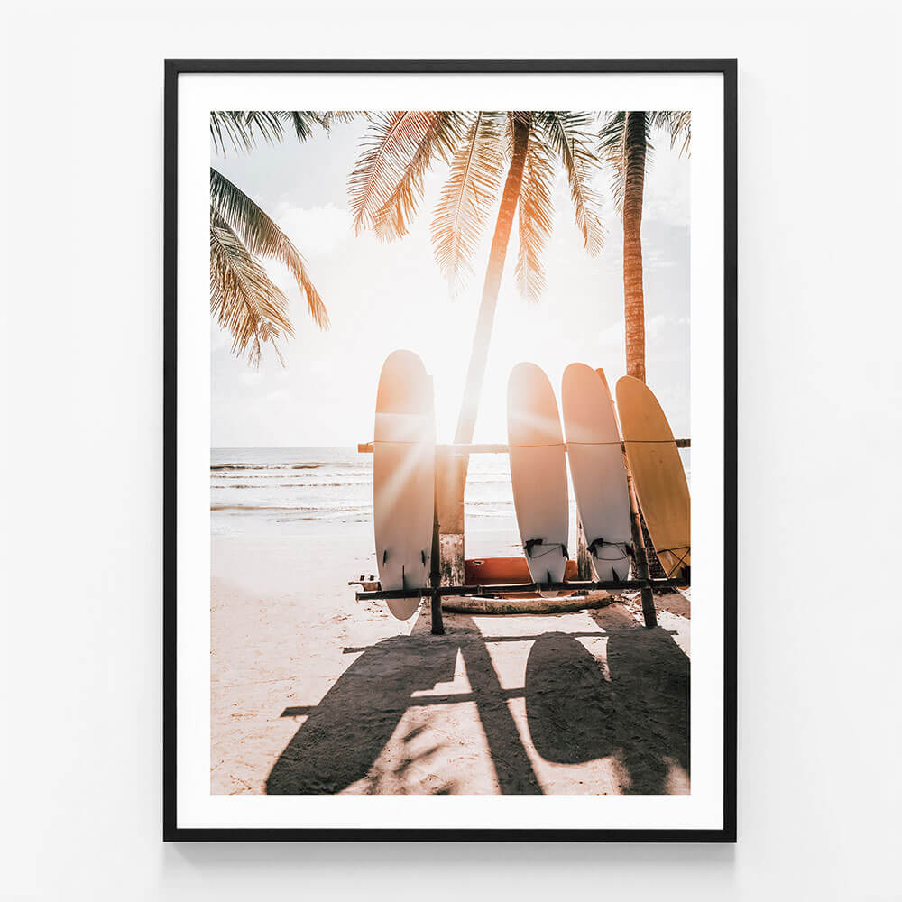 Boards in the Sun