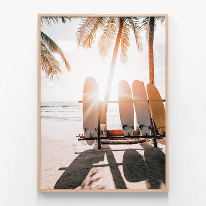 Boards in the Sun