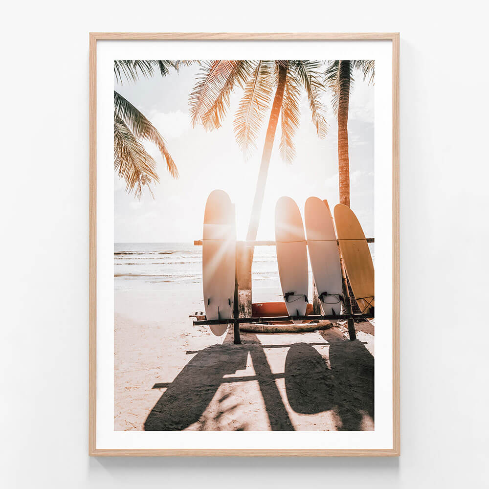Boards in the Sun