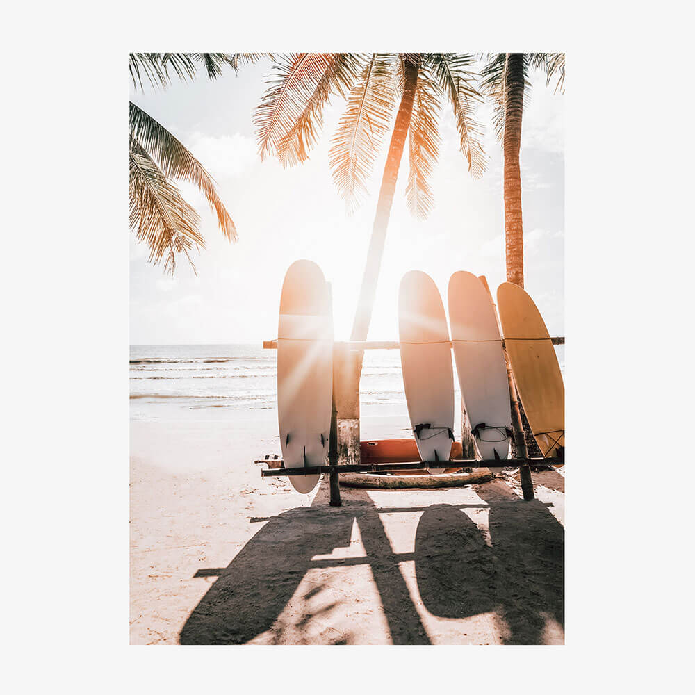 Boards in the Sun