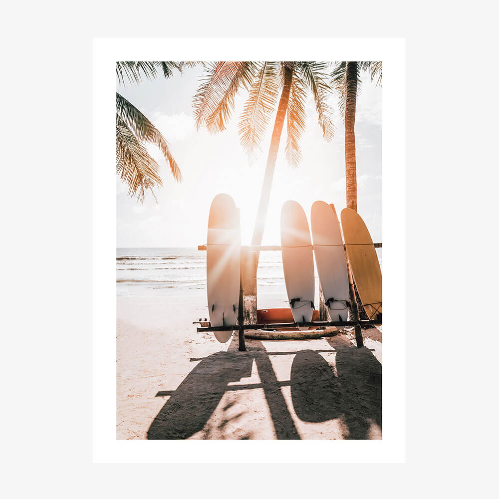 Boards in the Sun