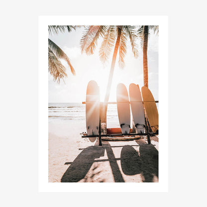 Boards in the Sun