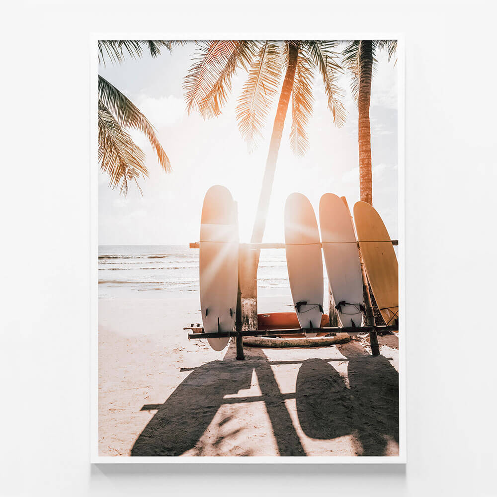Boards in the Sun