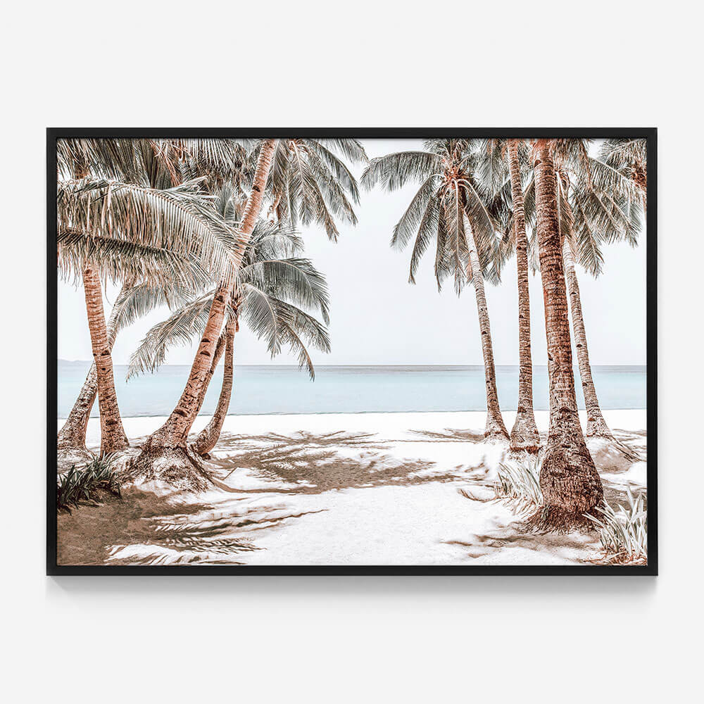 Boracay Palms