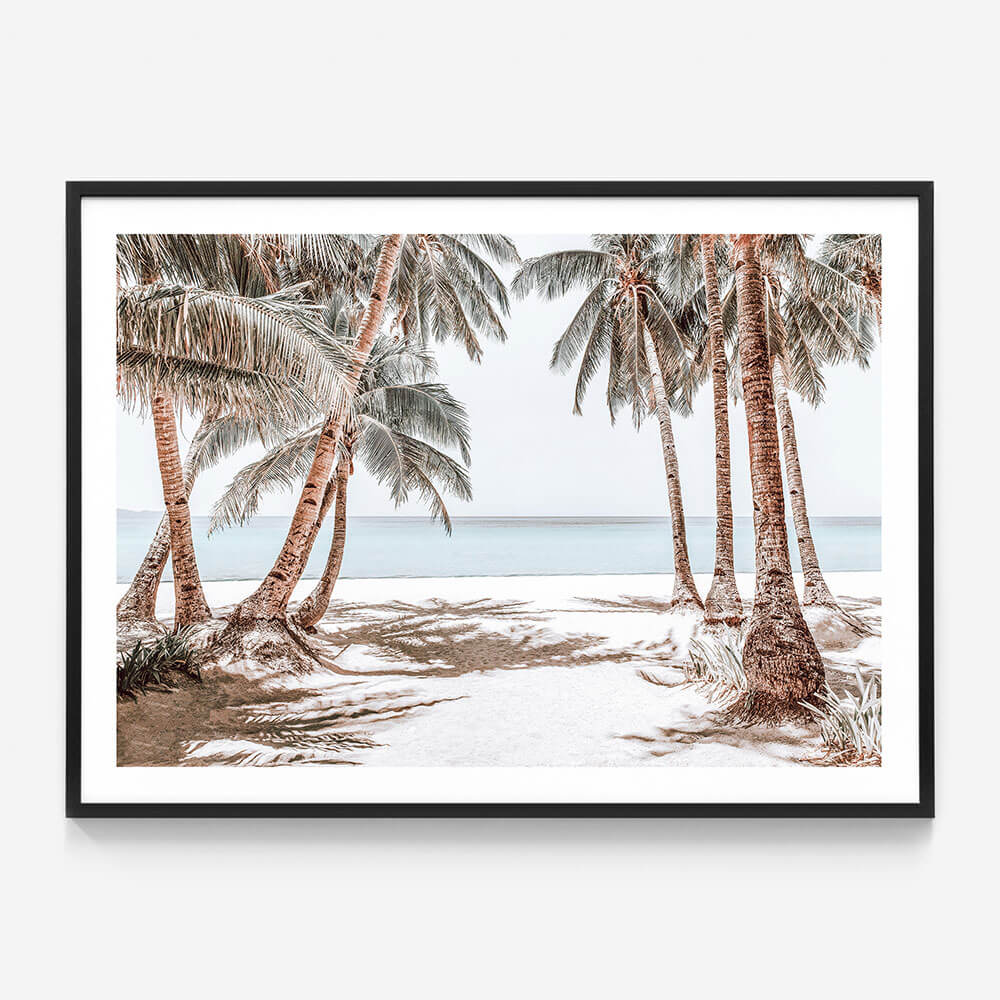 Boracay Palms