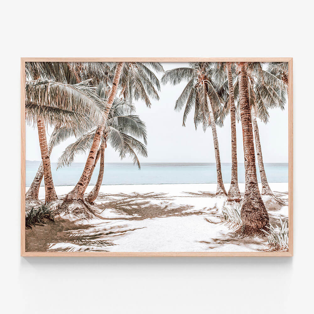Boracay Palms