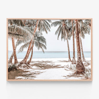 Boracay Palms