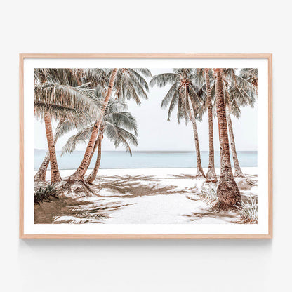 Boracay Palms