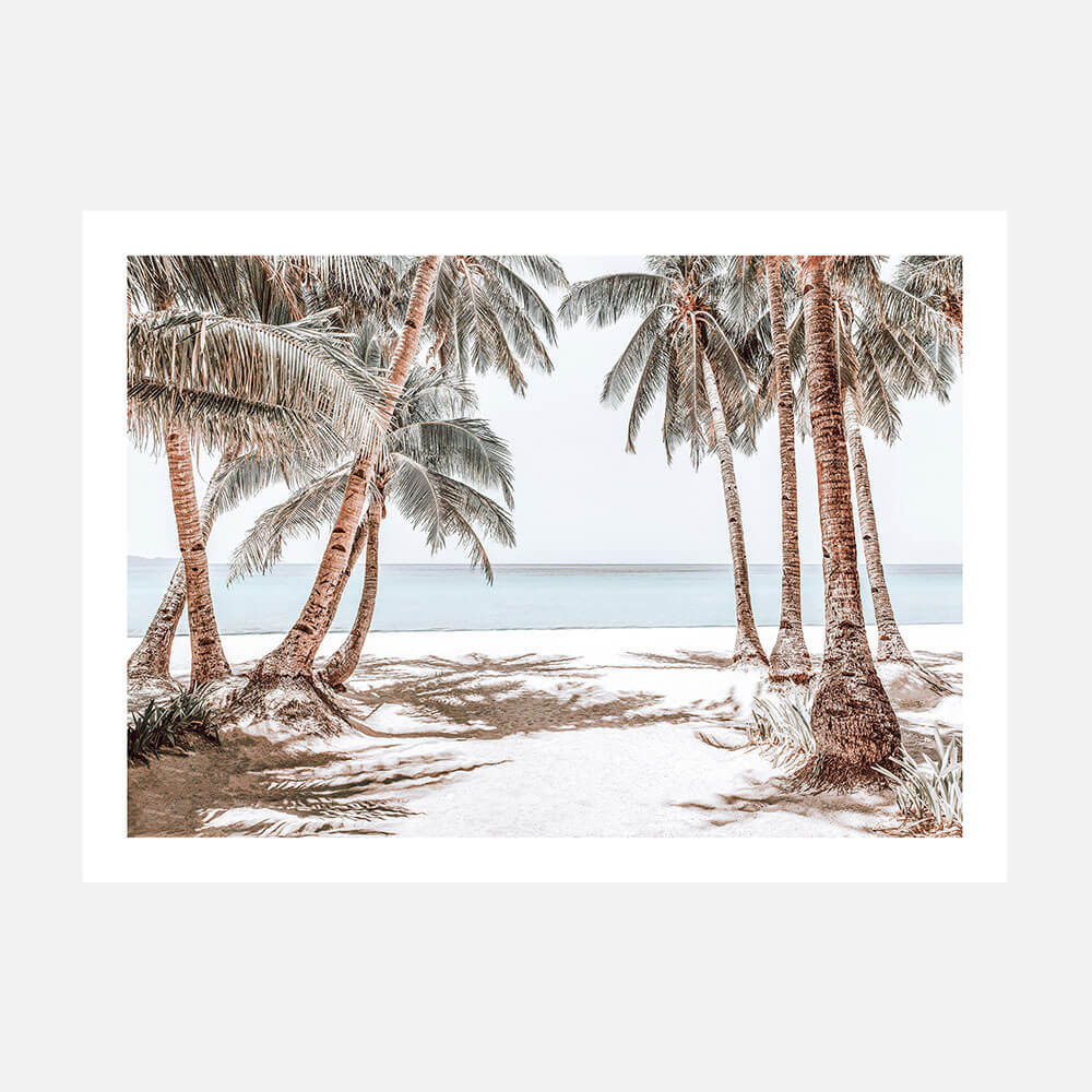 Boracay Palms