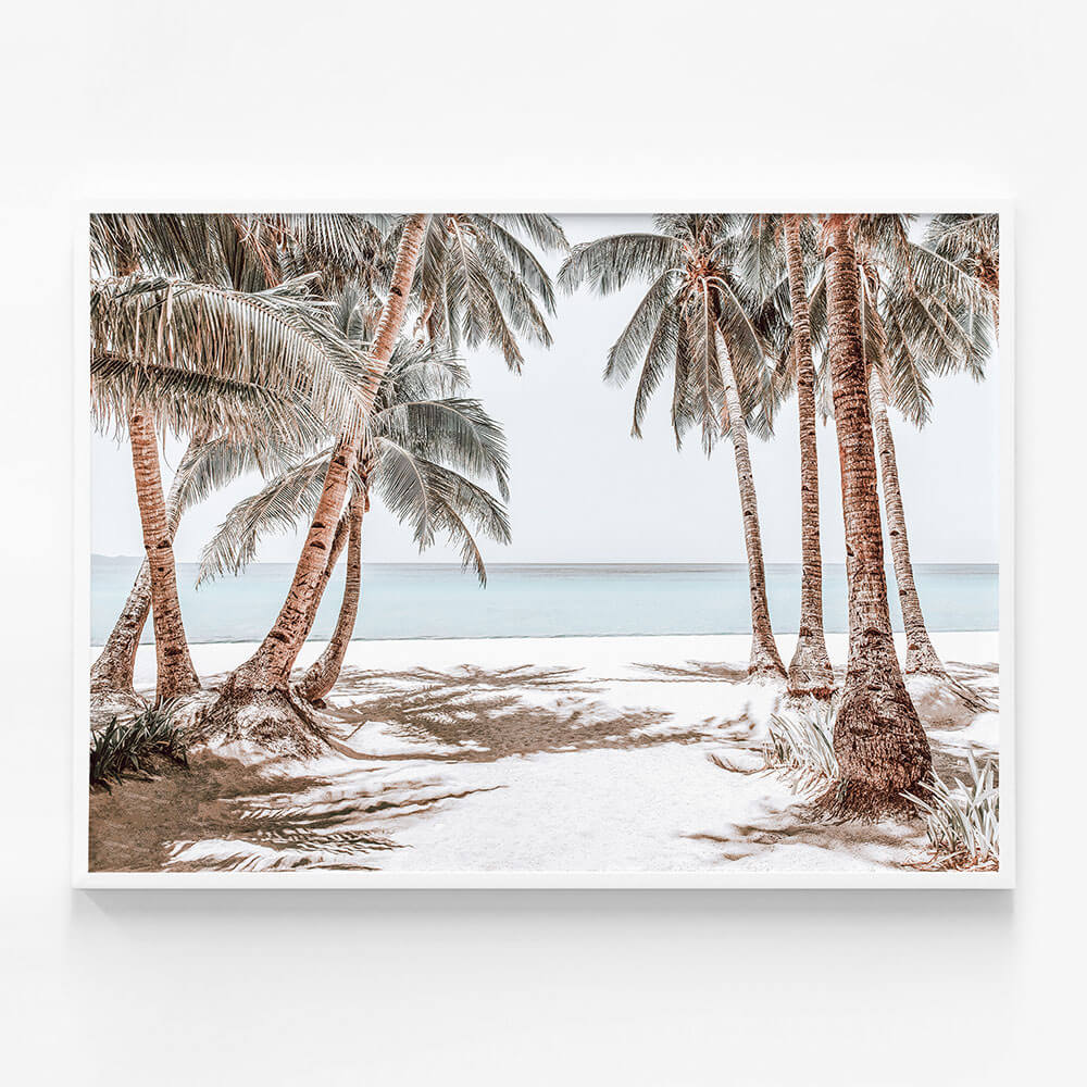 Boracay Palms
