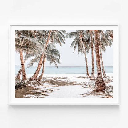 Boracay Palms